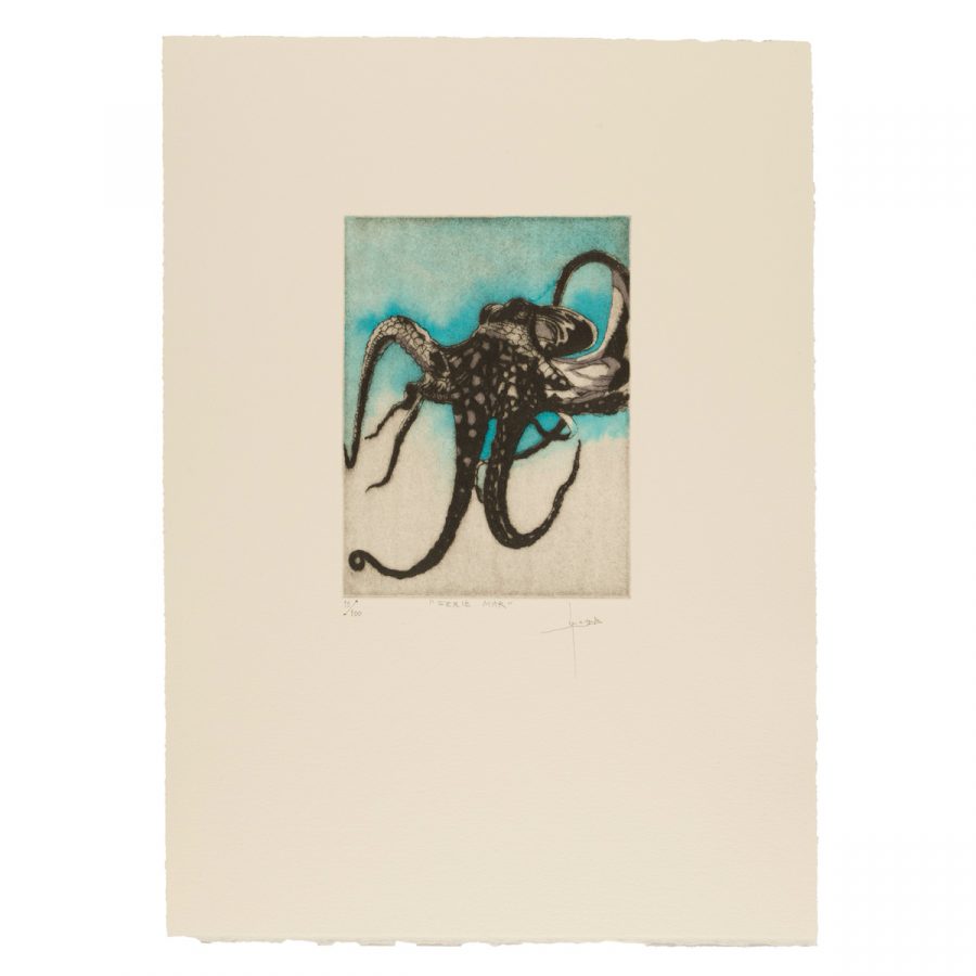 Pulpo