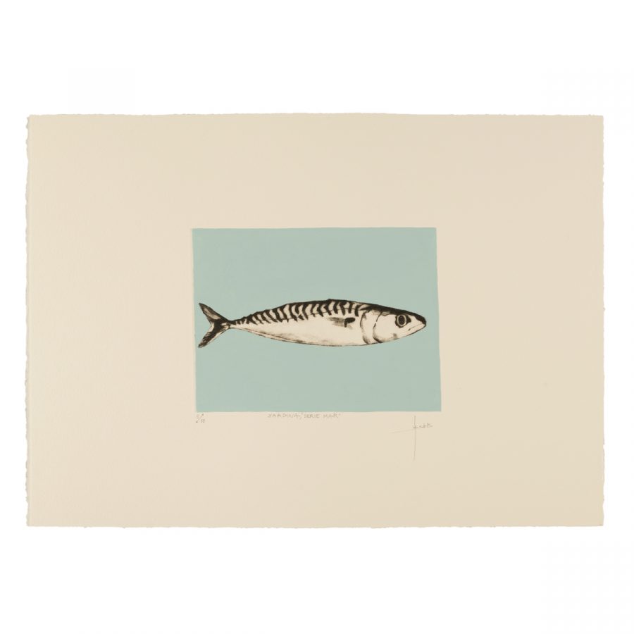 Sardina